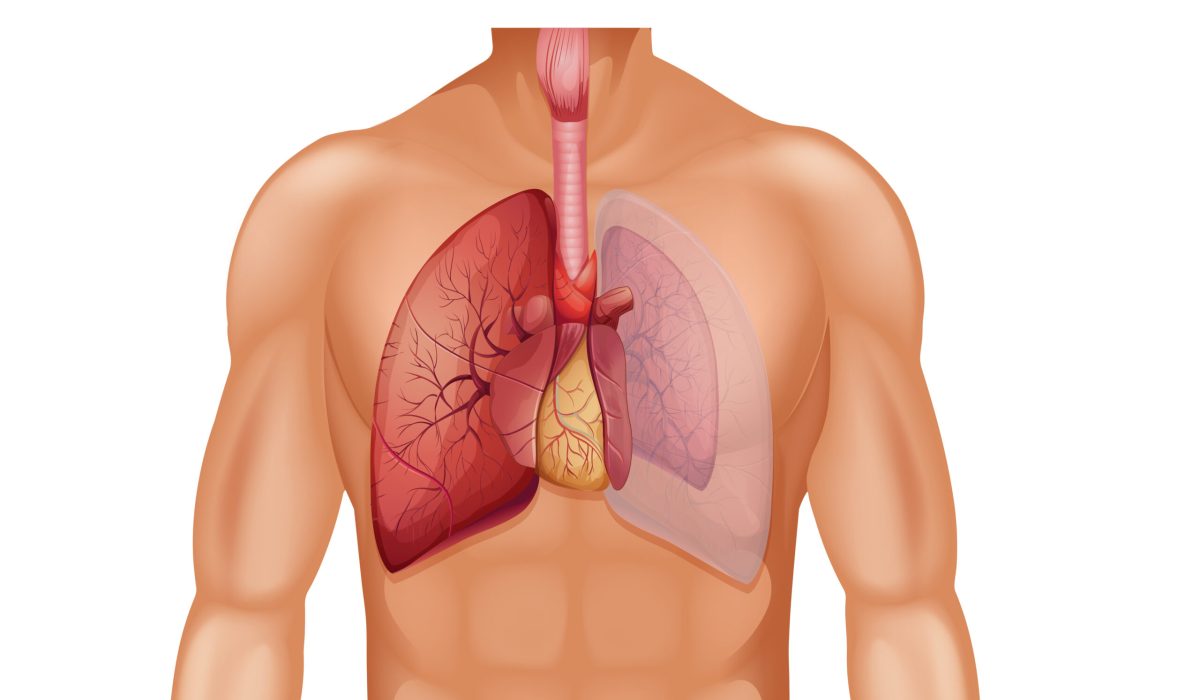 A Human Anatomy of Pneumothorax  illustration
